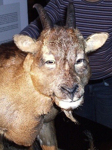 50f0e-n_21hnhvwbwsm_syg5abrxbrmf6fbvhzgcthhl25xxo