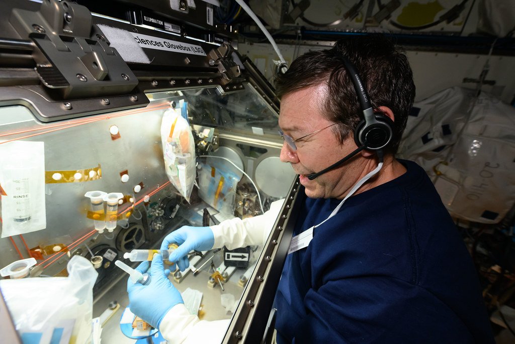Astronaut Mike Barratt processes brain organoid samples