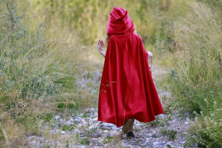 girl with red hood walking on rocky path between grasses