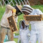 man and woman with a girl wearing white costumes while beekeeping
