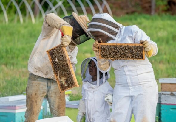 man and woman with a girl wearing white costumes while beekeeping